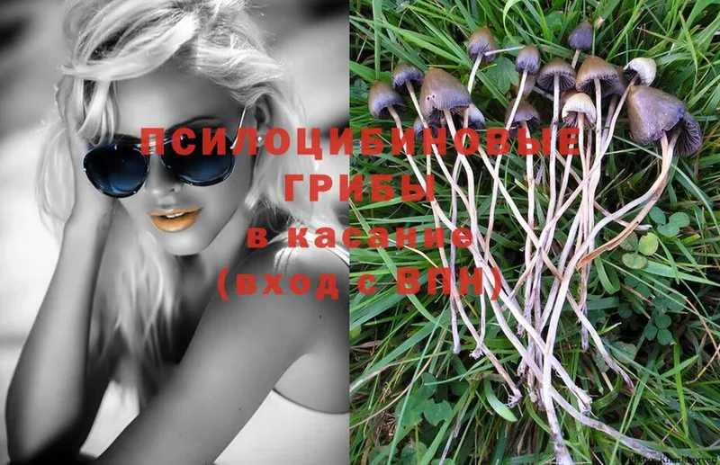 Псилоцибиновые грибы MAGIC MUSHROOMS  как найти закладки  Билибино 